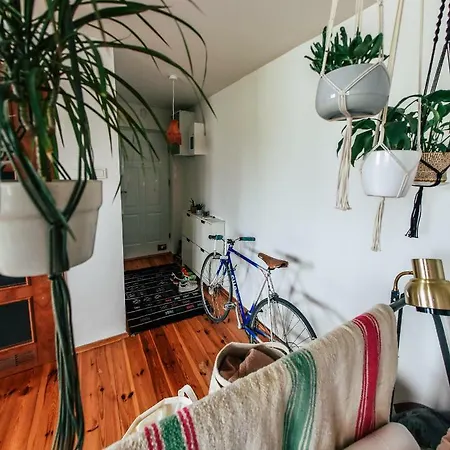 Apartament Makrama 公寓 *